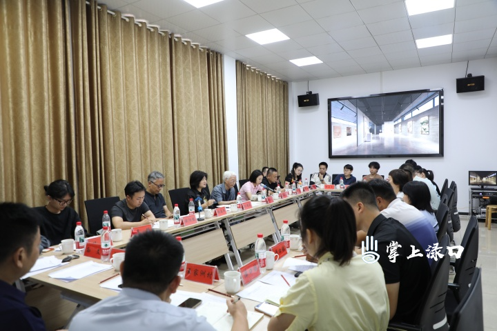 萧沛苍、魏春雨一行来渌口区调研乡村文化建设