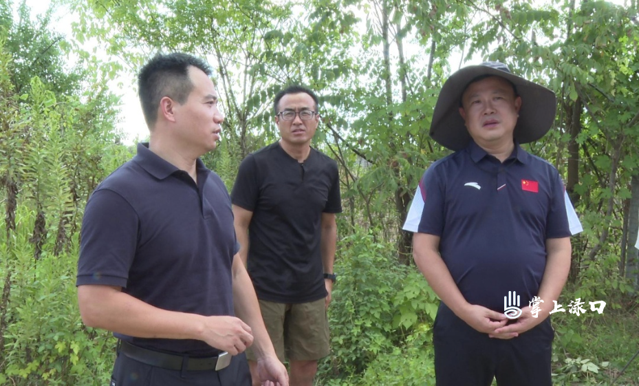 李晓彤调研突出生态环境问题整改工作