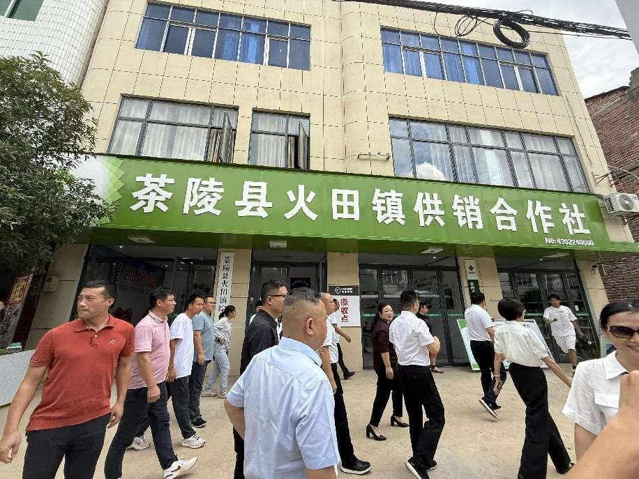 杨桦副市长在茶陵调研“三社合一”综合改革和“流动供销”工作