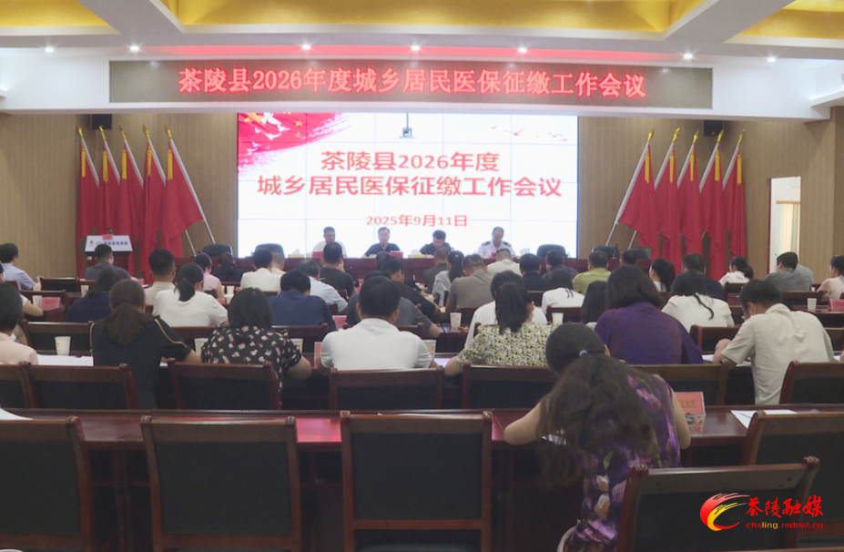 茶陵县调度2026年度城乡居民医保征缴工作