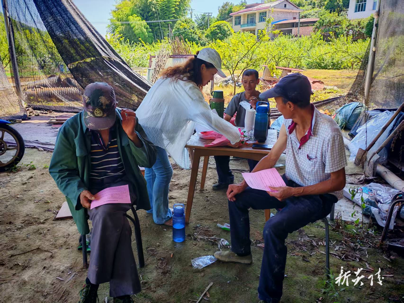 沔渡镇：多端发力抓禁烧秸秆 守护生态添底色