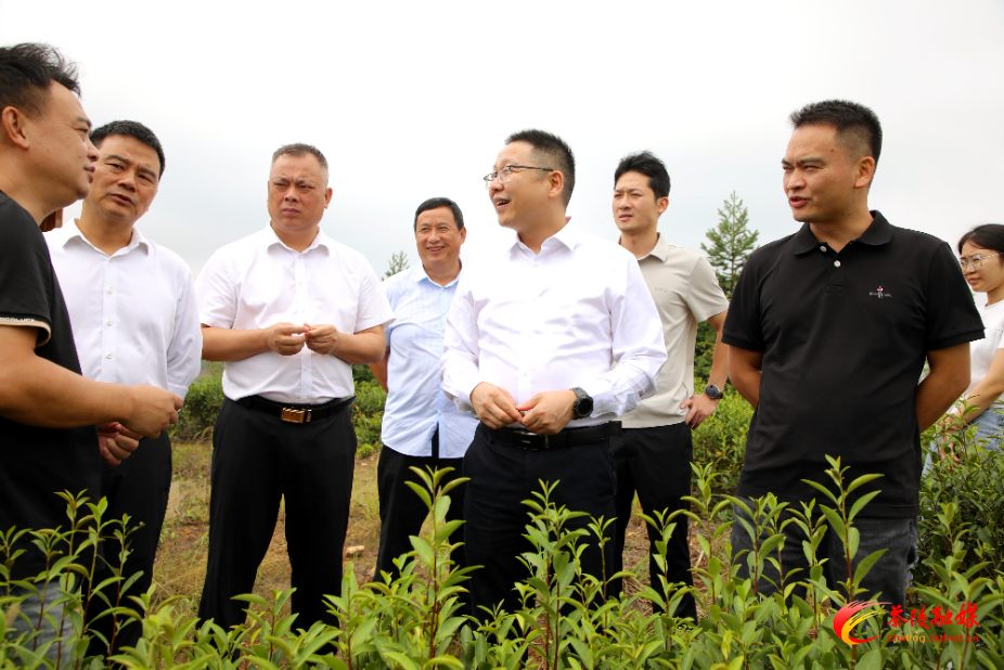 朱毅强到秩堂镇调研