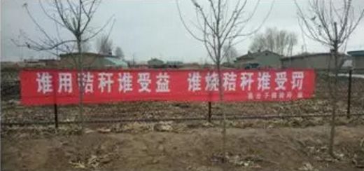 别烧我，我有用！