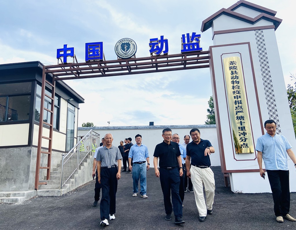 中国动物疫病预防控制中心到茶陵调研
