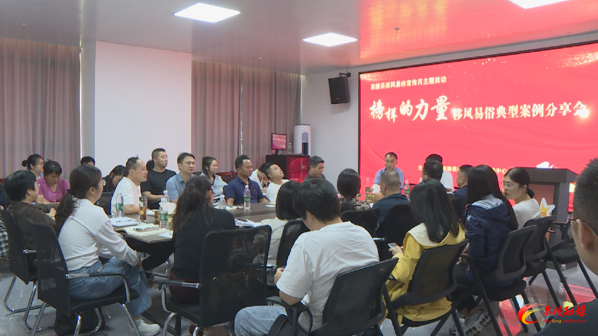 “榜样的力量”移风易俗典型案例分享会举行