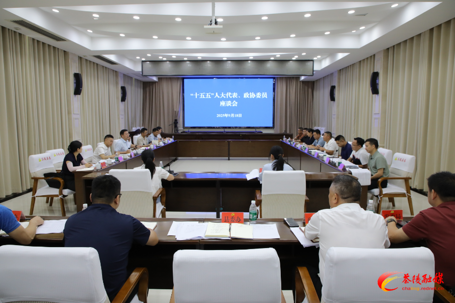 杨红兵主持召开“十五五”规划编制人大代表、政协委员座谈会