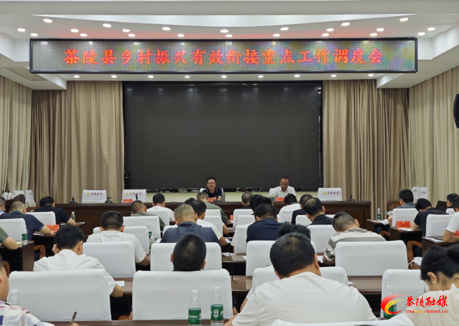 茶陵县乡村振兴有效衔接重点工作调度会召开