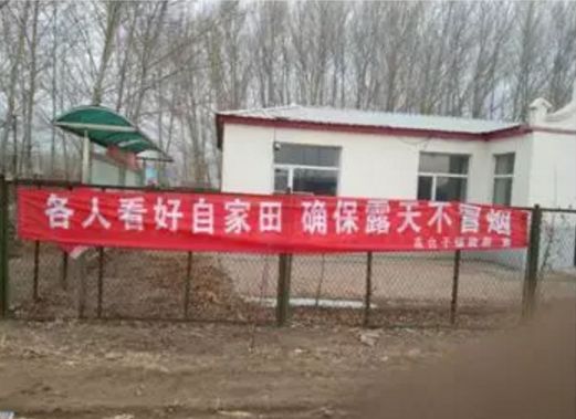 别烧我，我有用！