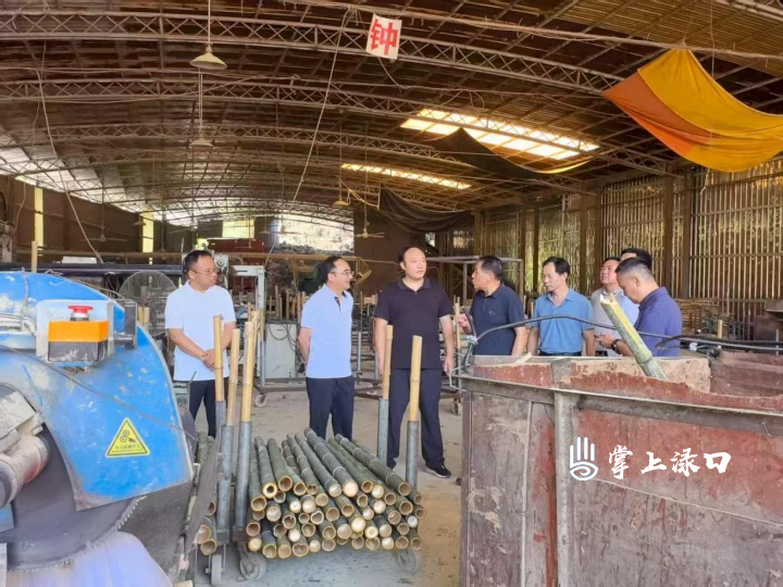 株洲市水务集团一行到龙潭镇联点村调研指导工作
