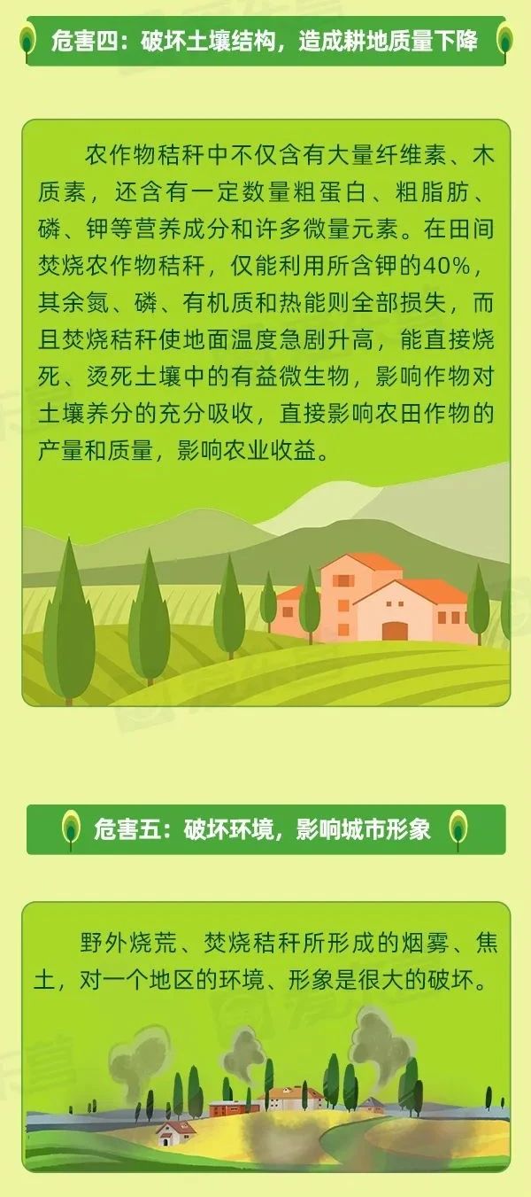 【一图读懂】秸秆焚烧危害有多大？