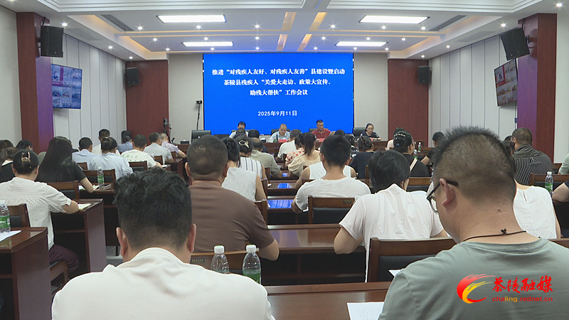 推进“对残疾人友好、对残疾人友善”县建设暨启动茶陵县残疾人“关爱大走访、政策大宣传、助残大帮扶”工作会议召开
