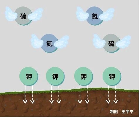 烧秸秆能除病虫害、增肥土壤，干嘛不让烧？