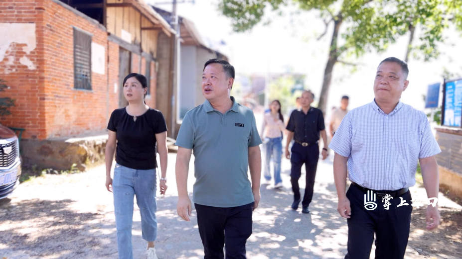 李晓彤到南洲镇调研文旅产业发展和农村环境卫生工作