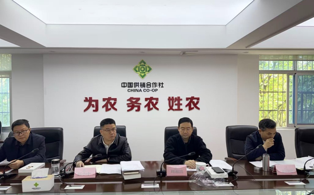 市供销社召开2025年 第10次党组（扩大）会议