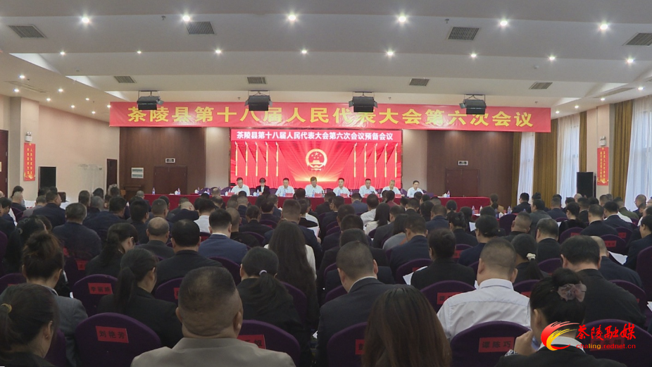 茶陵县第十八届人民代表大会第六次会议：举行预备会议
