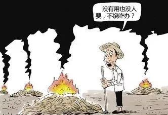 秸秆焚烧危害大，违者将会被处罚！