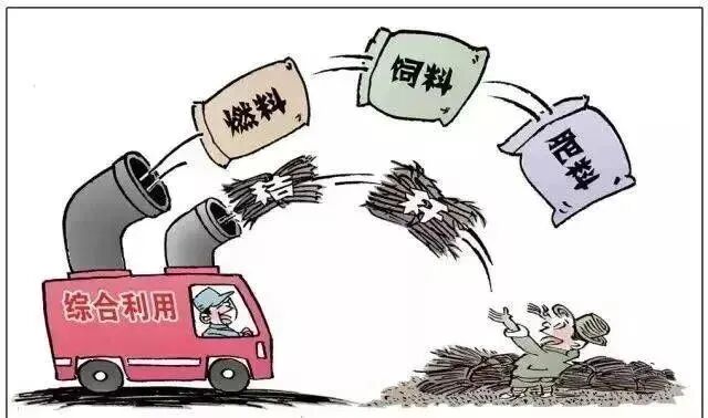 百无一用？其实秸秆也能很有用！