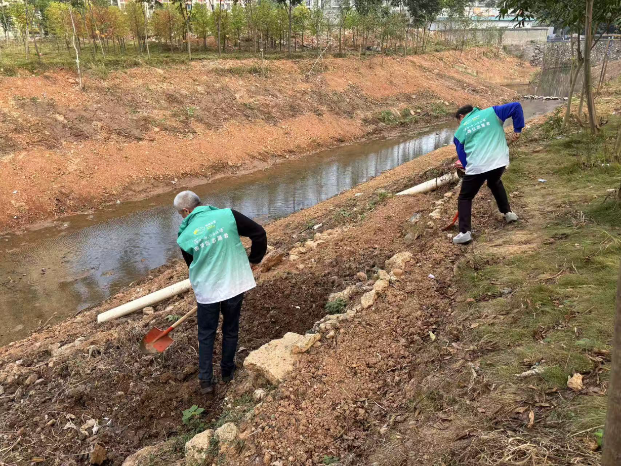 净岸护水，荷塘区在行动
