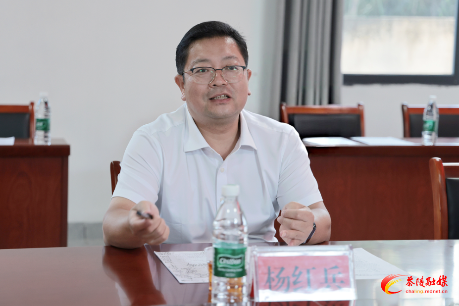 杨红兵到严塘镇玳溪村调研乡村振兴工作