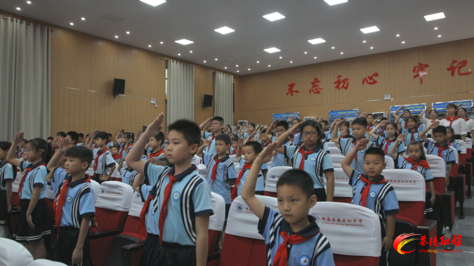 2025年茶陵县“十一三”主题示范性队日暨“新时代好少年”先进事迹发布会举行