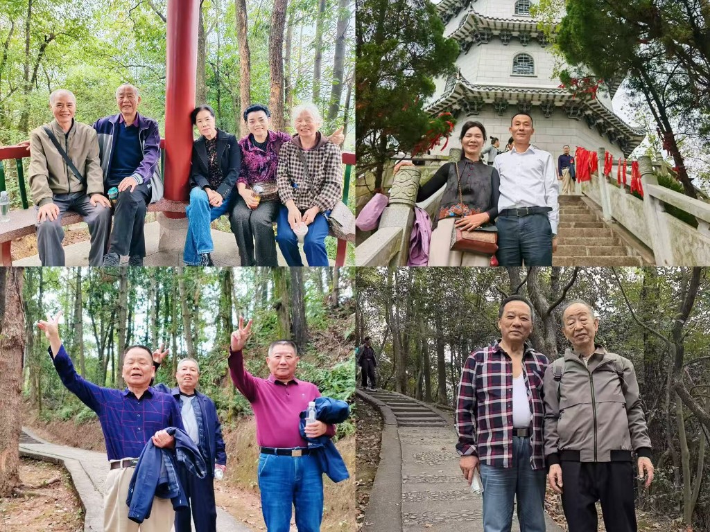 庾岭登高 情暖桑榆