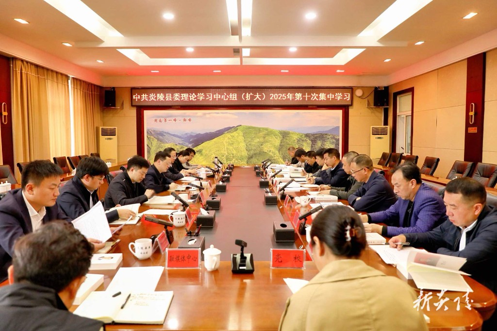 县委理论学习中心组（扩大）举行2025年第十次集中学习