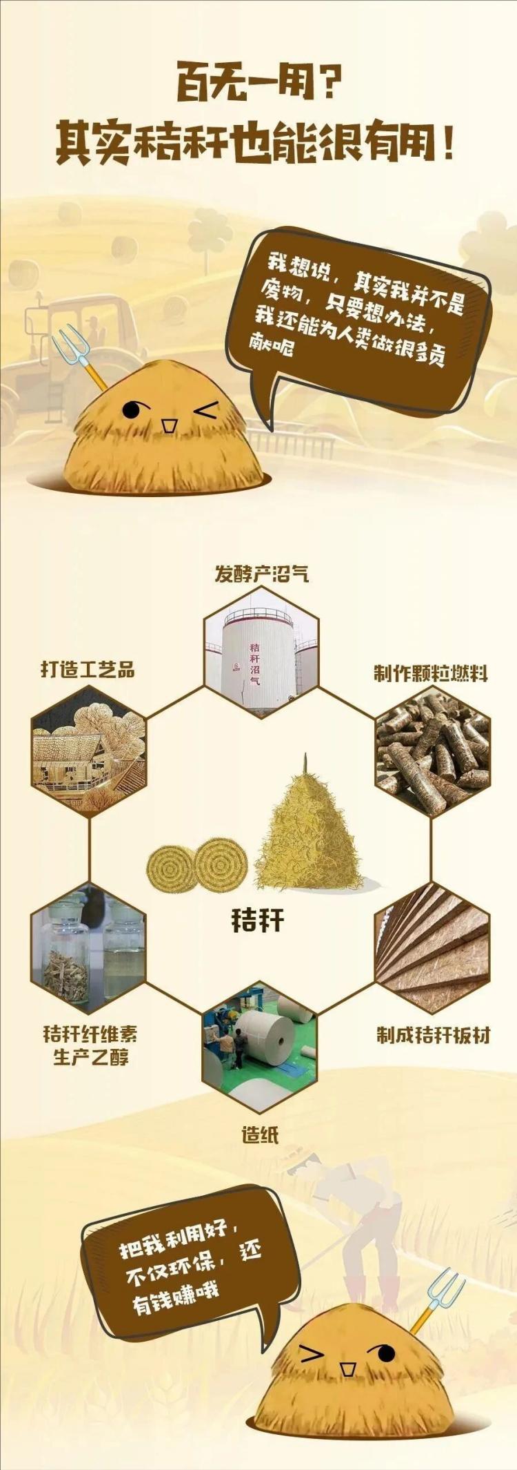 百无一用？其实秸秆也能很有用！