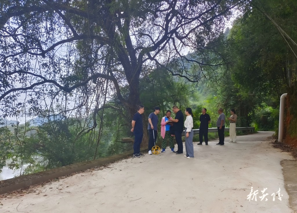 霞阳镇：人大主席团以实效监督推动代表建议落地生根