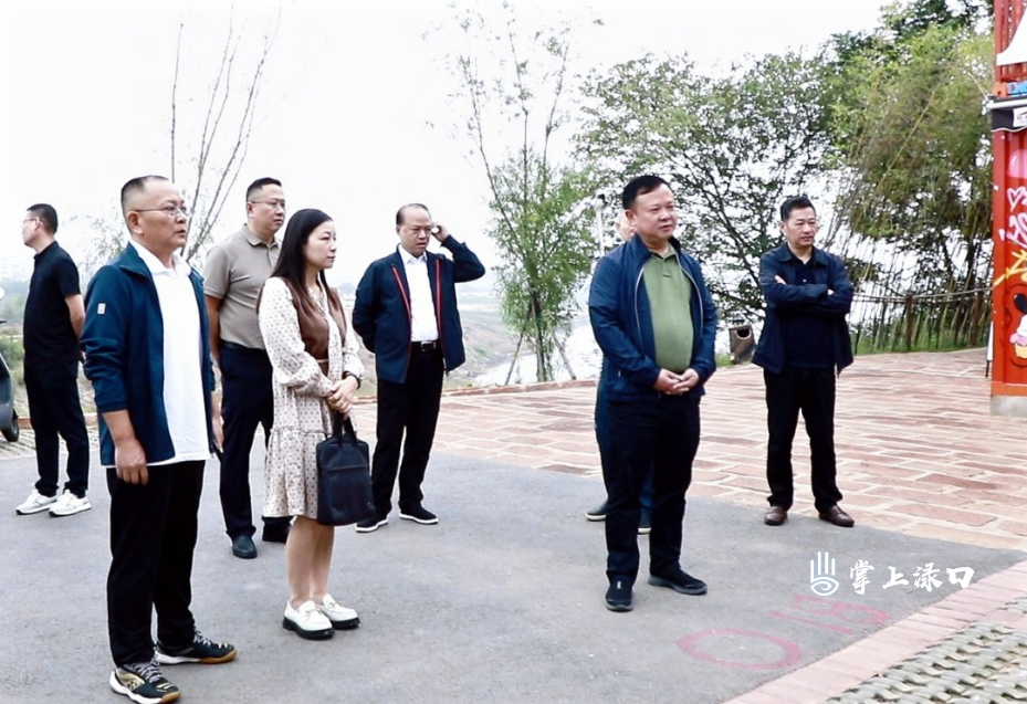 驻渌口区市人大代表小组调研农文旅融合发展与重点项目建设工作