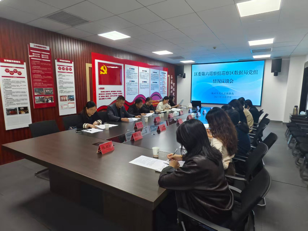 区委第六巡察组向区数据局党组反馈巡察情况