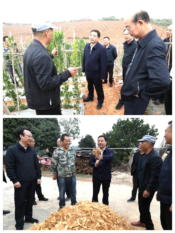 李鹏程调研巩固拓展脱贫攻坚成果同乡村振兴有效衔接工作