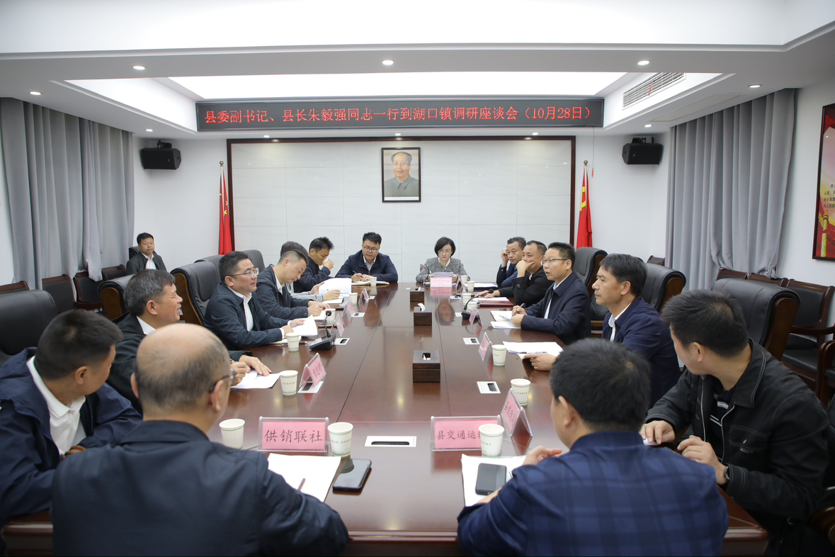 朱毅强到湖口镇调研