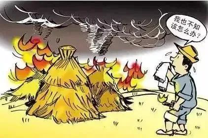 秸秆禁烧 从你我做起