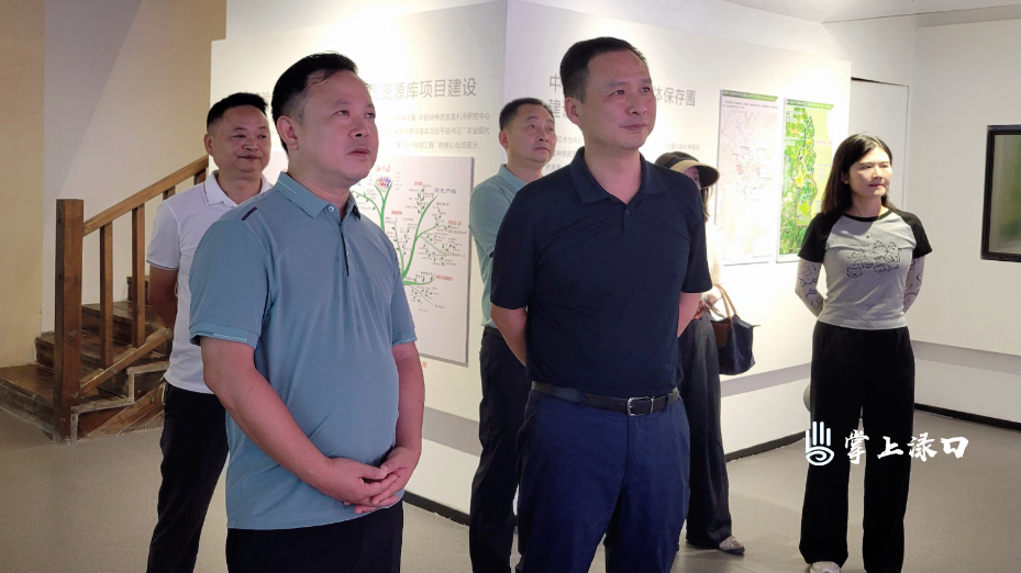 李晓彤赴荷塘区考察假日文旅工作