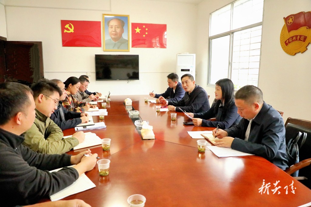 尹朝晖调研乡村振兴工作