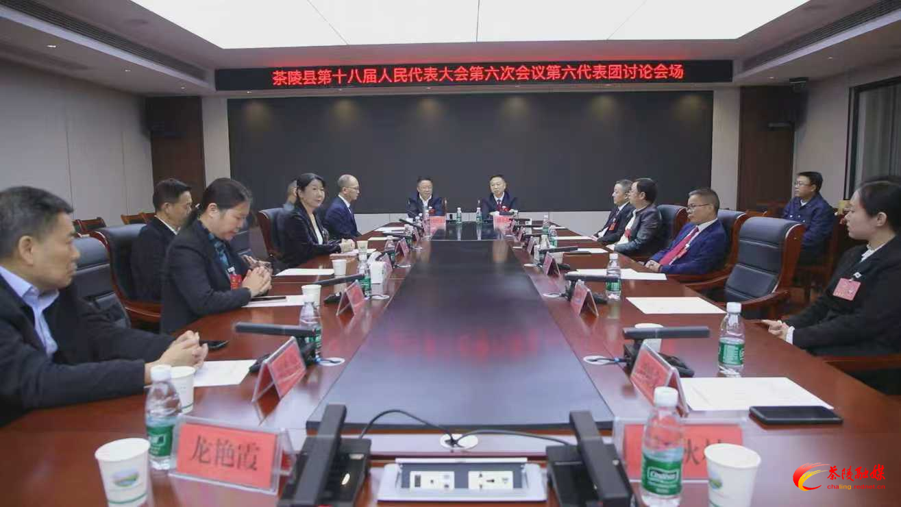 茶陵县第十八届人民代表大会第六次会议：各代表团进行分团讨论 杨红兵、朱毅强、何文龙、刘晓伟等领导参加
