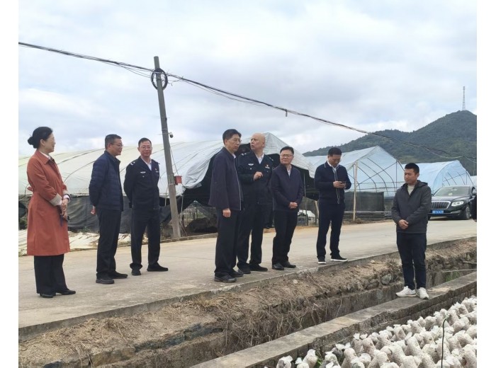 唐文发同志到茶陵县腰潞镇调研乡村振兴工作