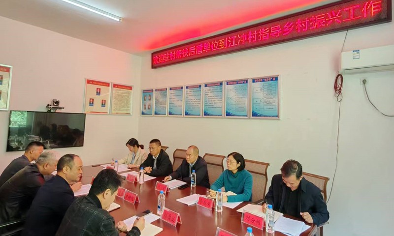 市医保局党组书记张文一行在攸县鸾山镇江冲村调研乡村振兴工作