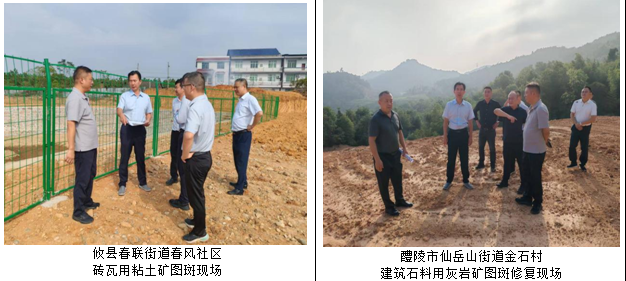 刘飞勇调研督导我市历史遗留矿山生态修复工作