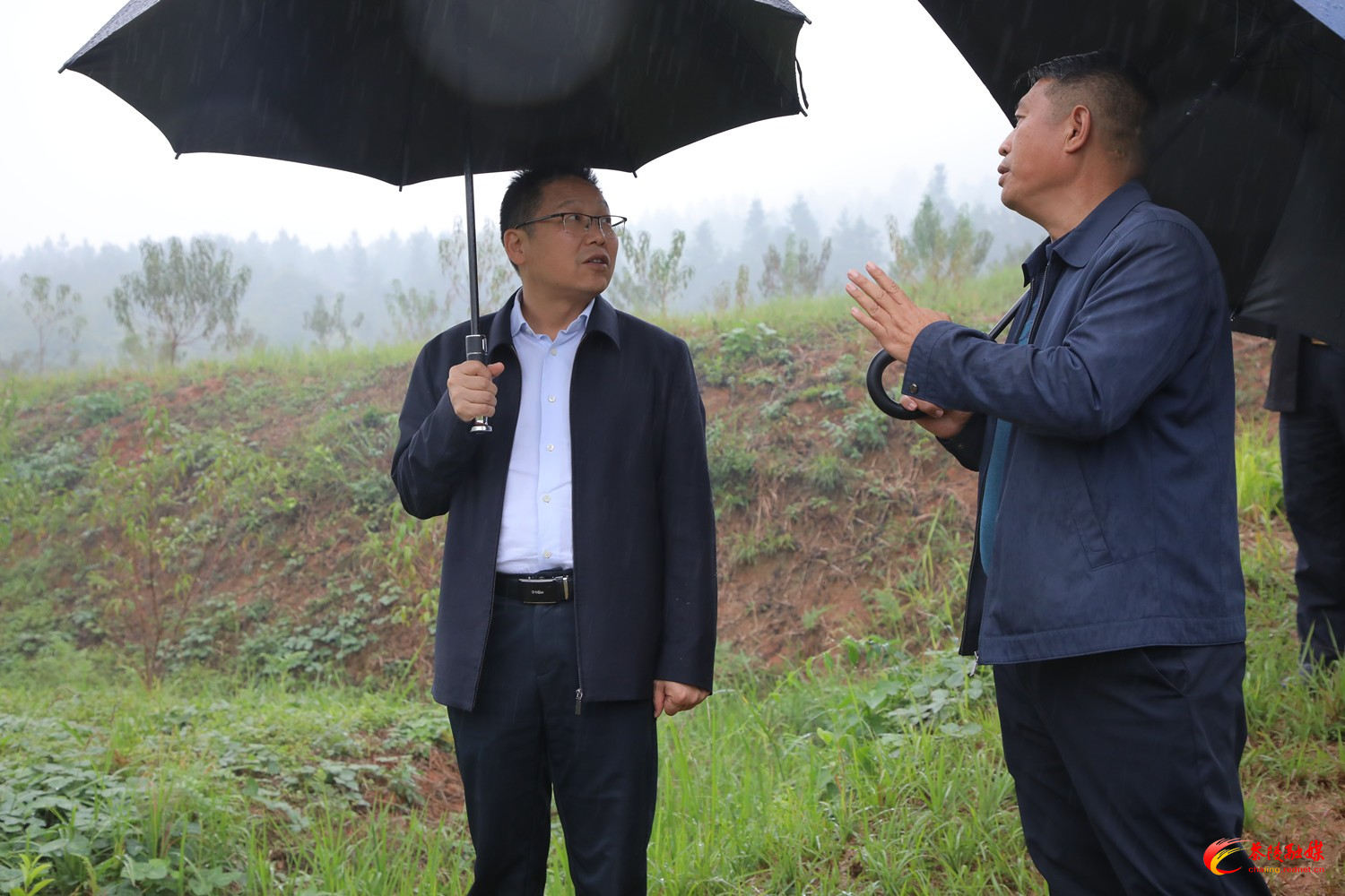 朱毅强到严塘镇调研