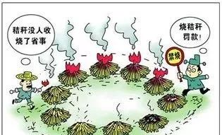 秸秆焚烧危害大，违者将会被处罚！