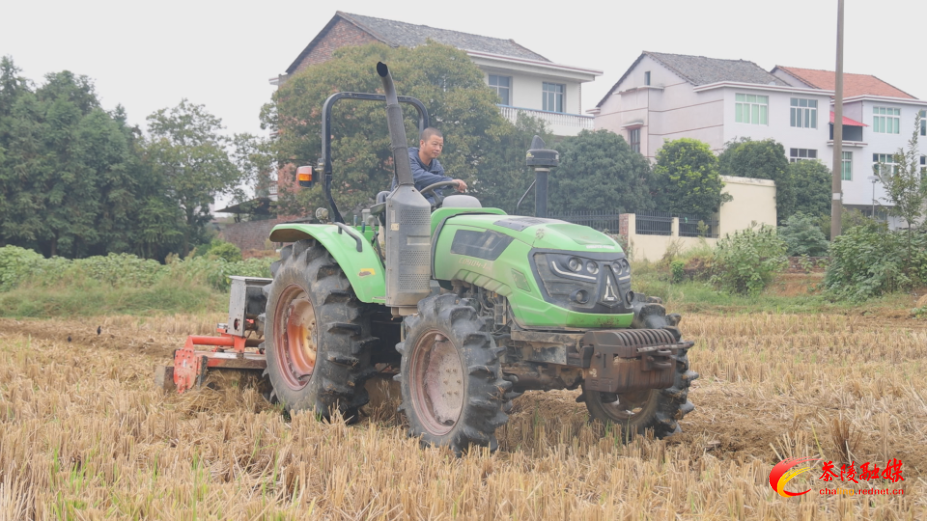 秋播油菜正当时 机械化播种绘“丰”景