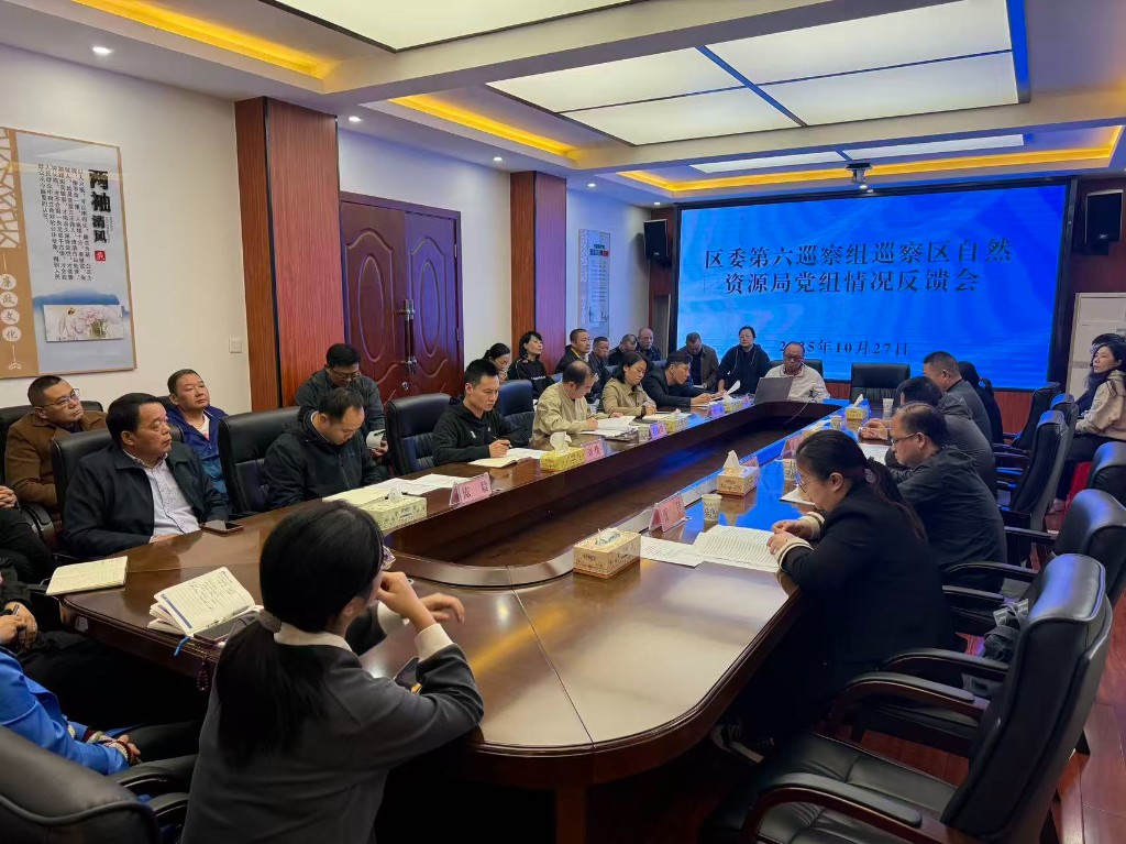 区委第六巡察组向区自然资源局（林业局）党组反馈巡察情况