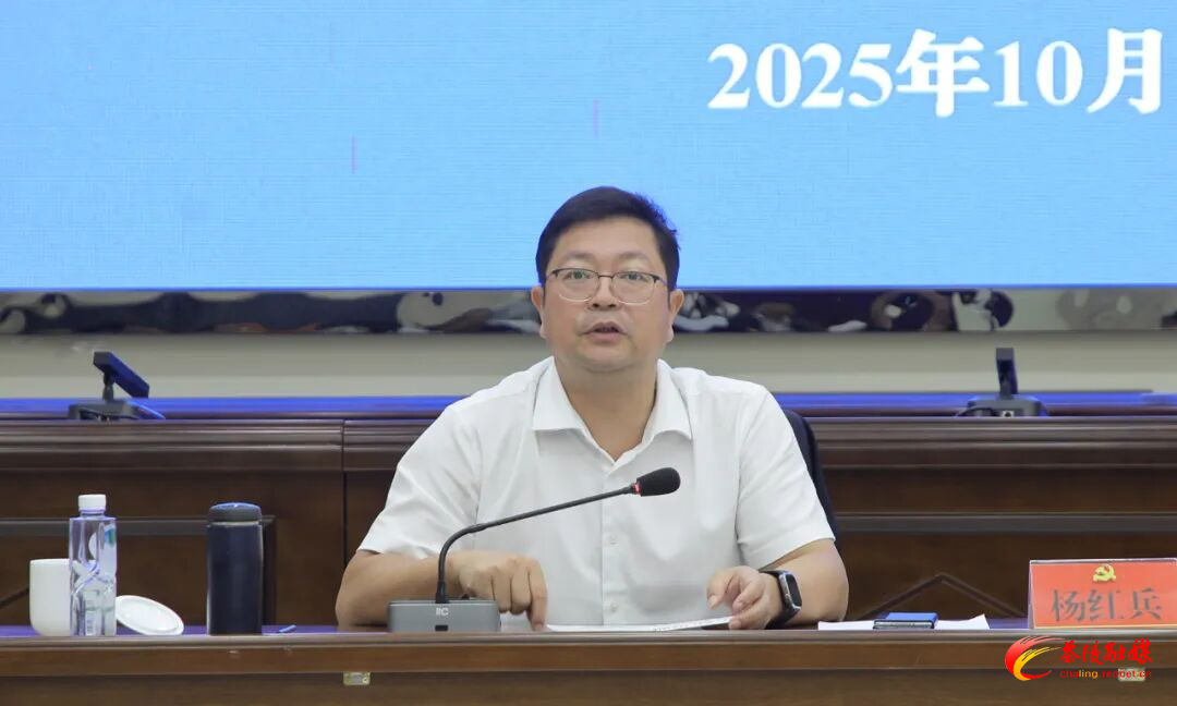 茶陵县饰面用花岗岩矿及产业园建设运营项目调度会召开