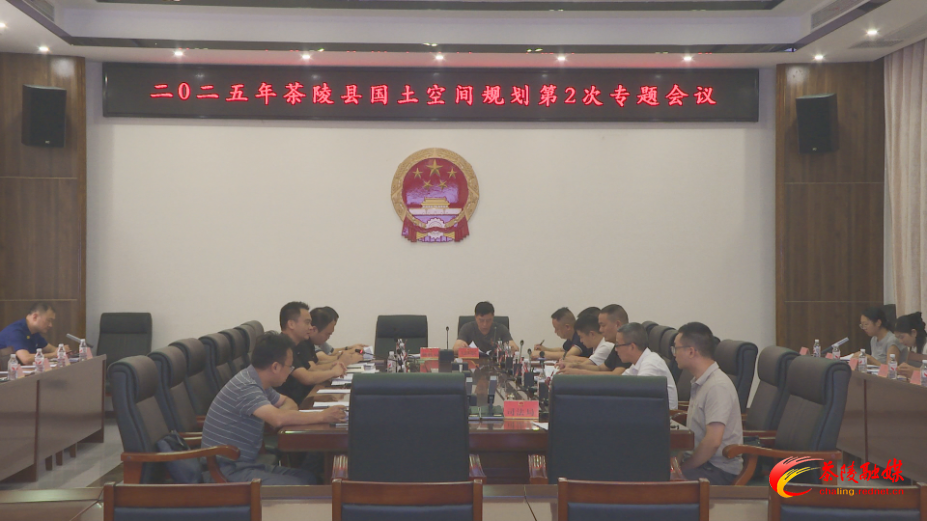 茶陵县召开2025年国土空间规划第2次专题会