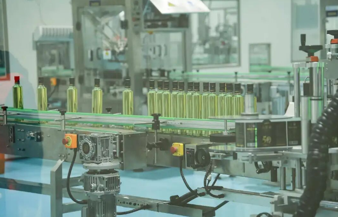 第二届湖南油茶节在攸县开幕