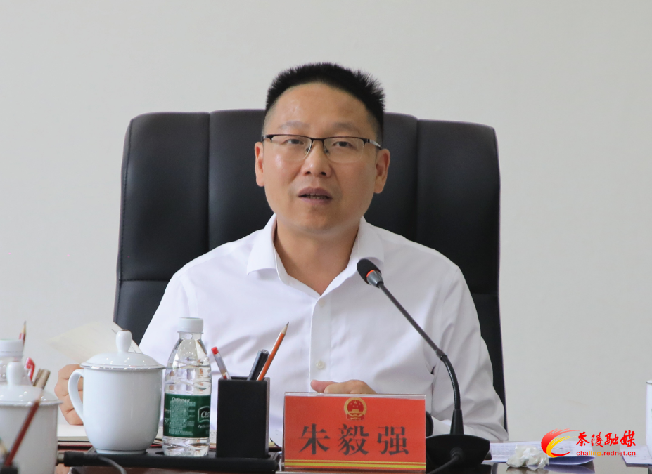 茶陵县建筑业、房地产企业座谈会召开