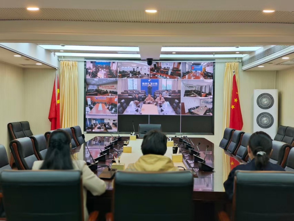 株洲市召开1%人口抽样调查入户登记业务培训视频会