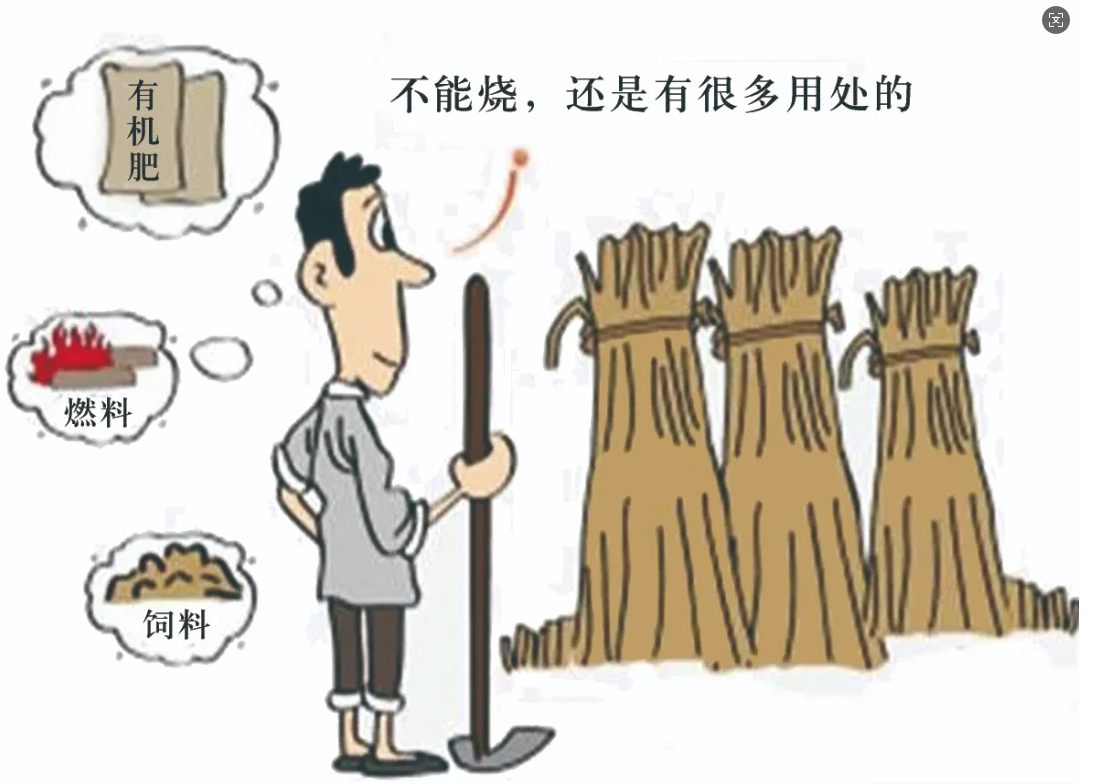 秸秆禁烧那些事儿