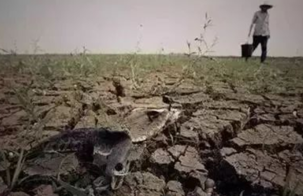 农民伯伯们，听我一句劝！别烧秸秆！